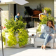 Illustration for article titled The X Factor: “Judges’ Homes #3”